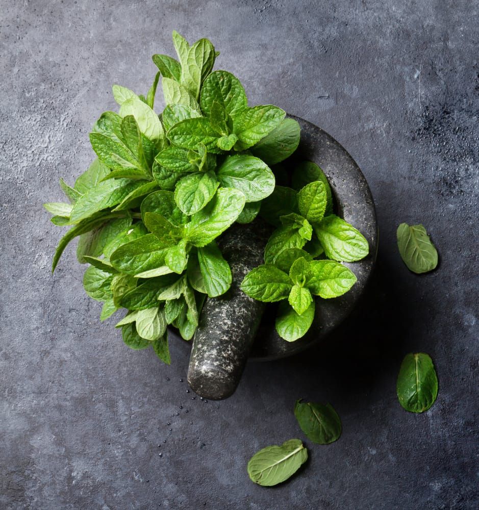 Fresh mint leaves on a wooden surface